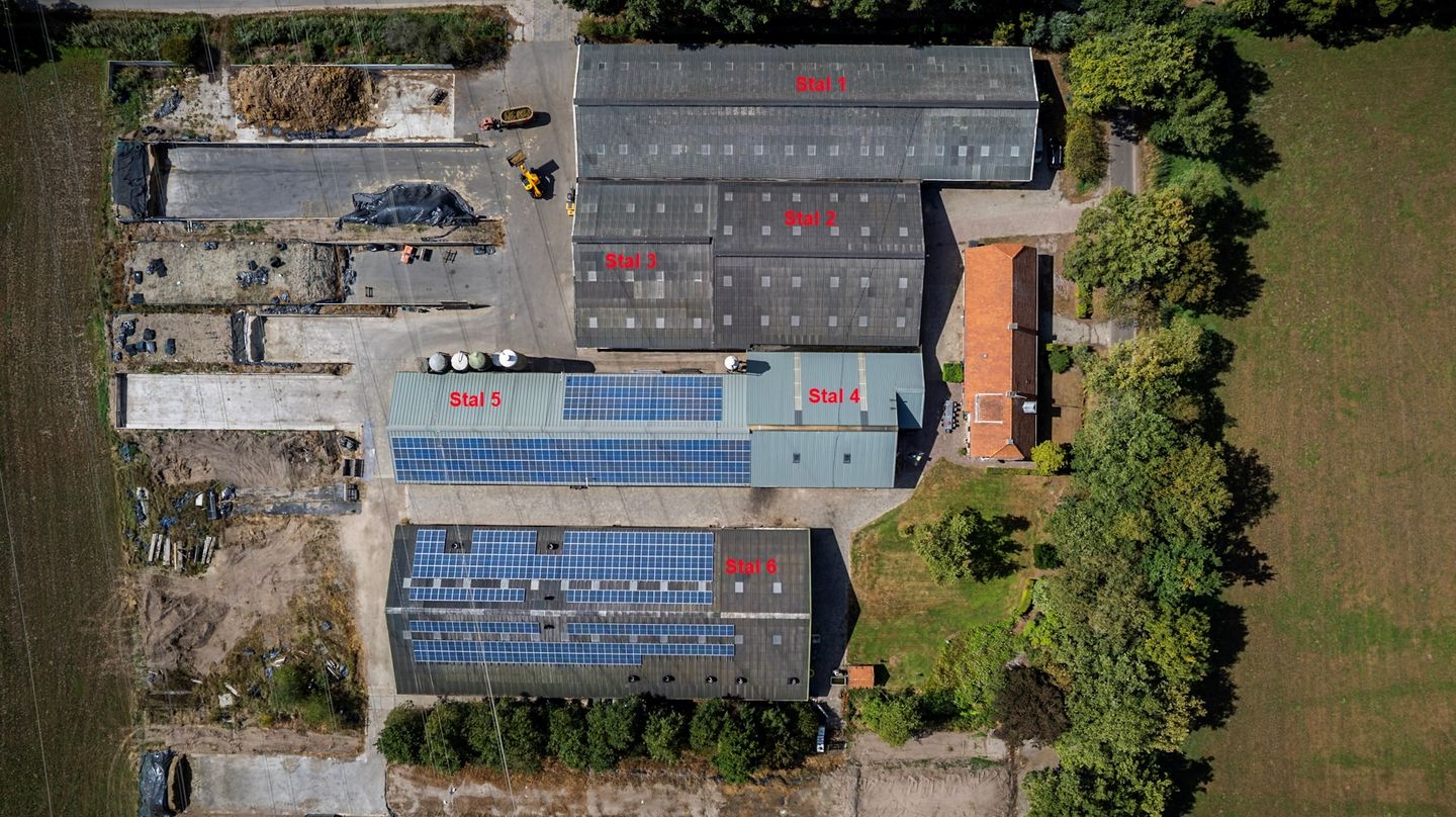 Bekijk foto 3 van Broekstraat 28