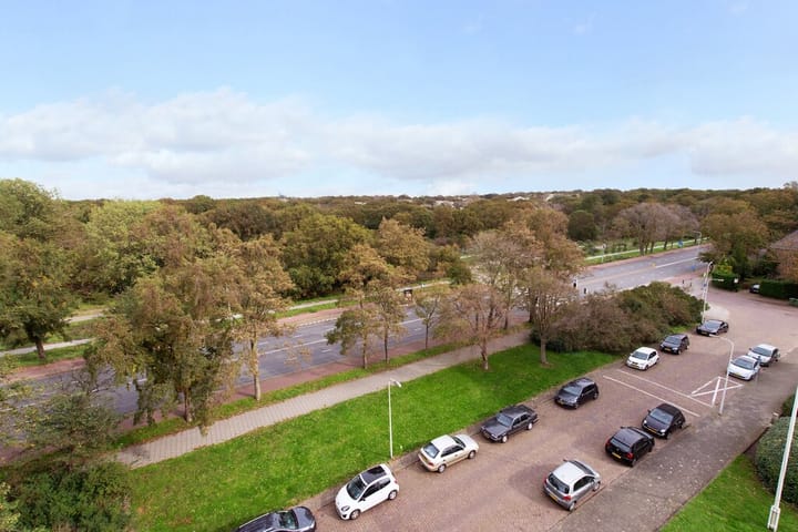 Van Alkemadelaan 914