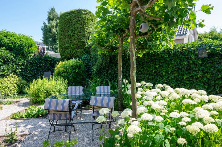 Foto 5 van Brigantijn 9