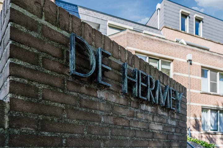 Foto 8 van De Hermey 38