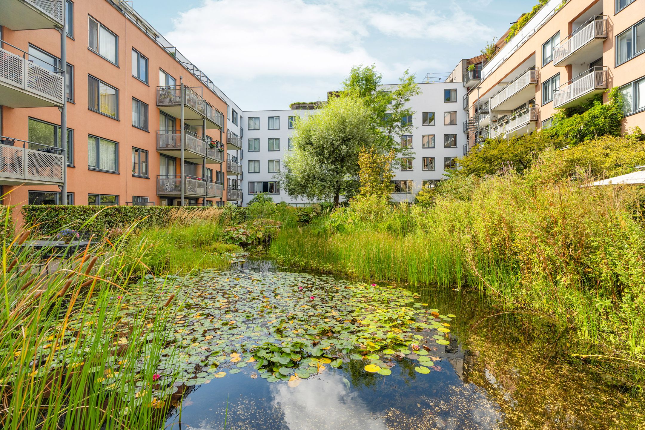 Photo 36 of Valkenburgerstraat 113