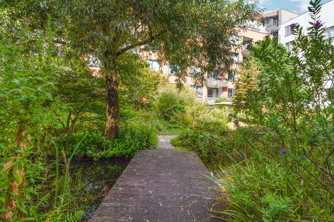 Photo 38 of Valkenburgerstraat 113