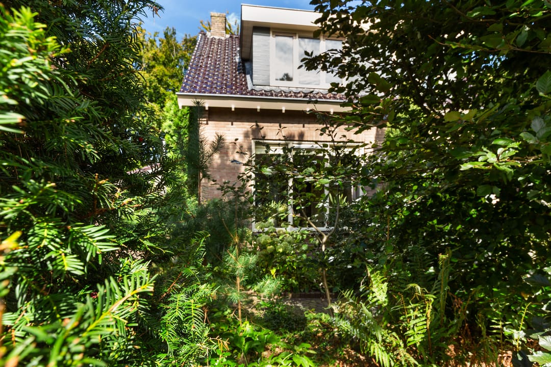 Foto 52 van Vondelstraat 9