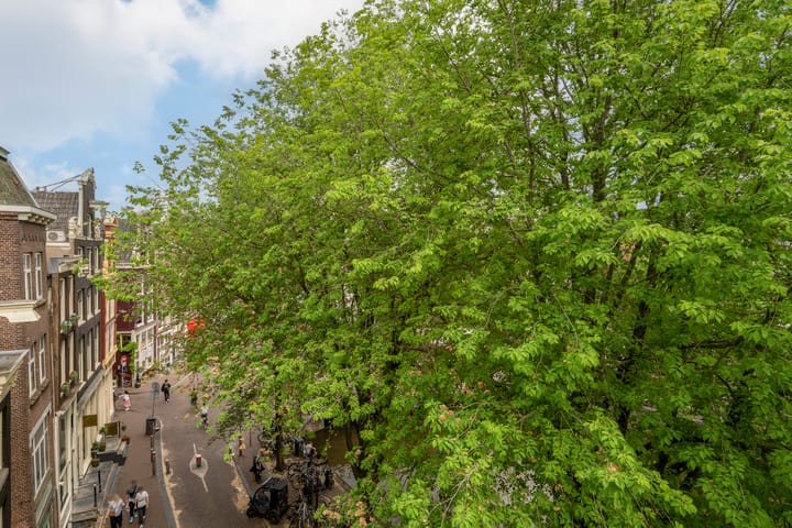 Foto 8 van Singel 422-K