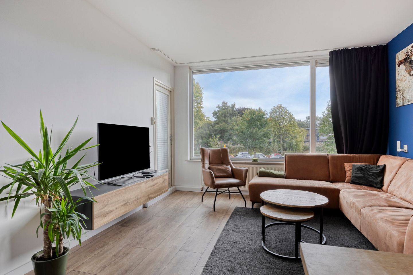 Foto 5 van Van Borsselestraat 37