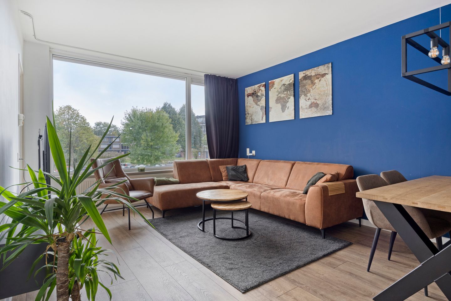 Foto 4 van Van Borsselestraat 37