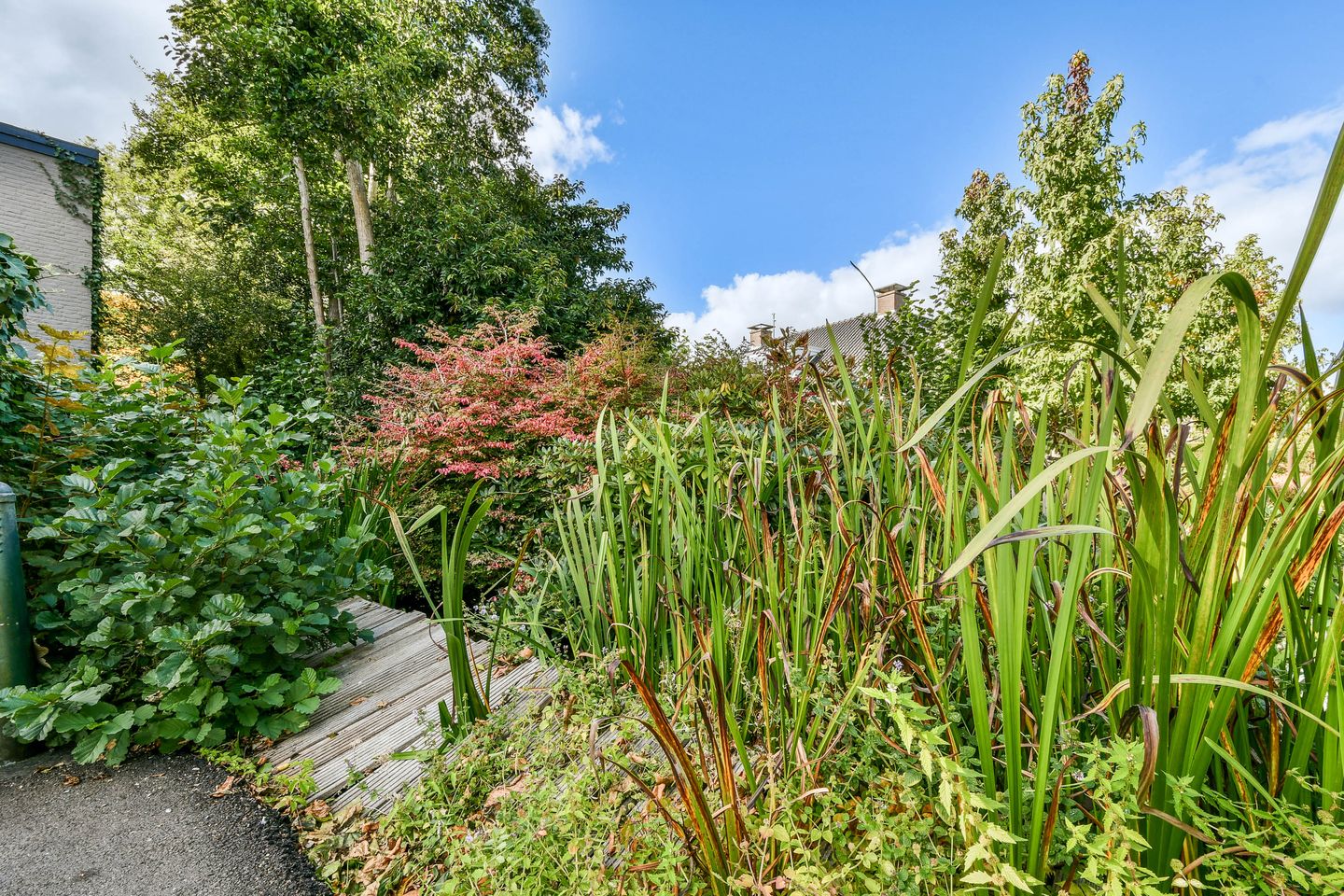 Foto 34 van Groenlandse kade 20