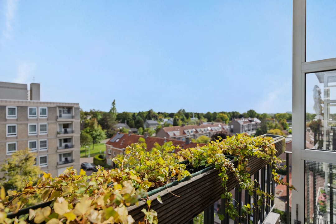 Foto 31 van Pettelaarseweg 205