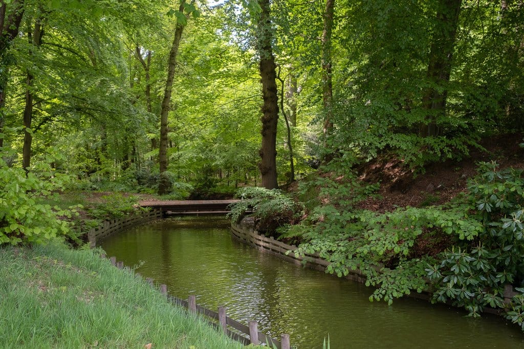 Foto 31 van Rijksstraatweg 363