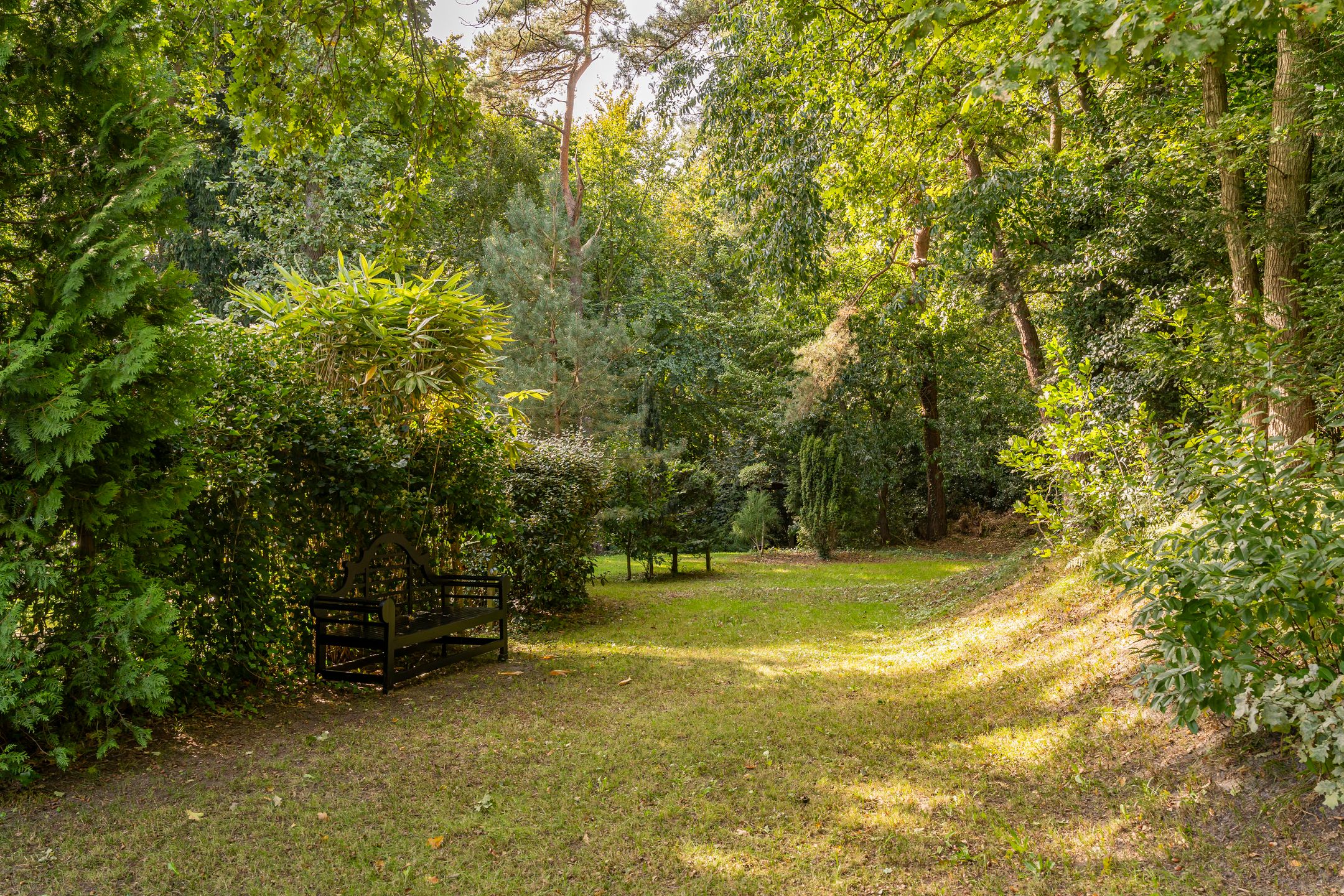 Foto 45 van Eeuwigelaan 59