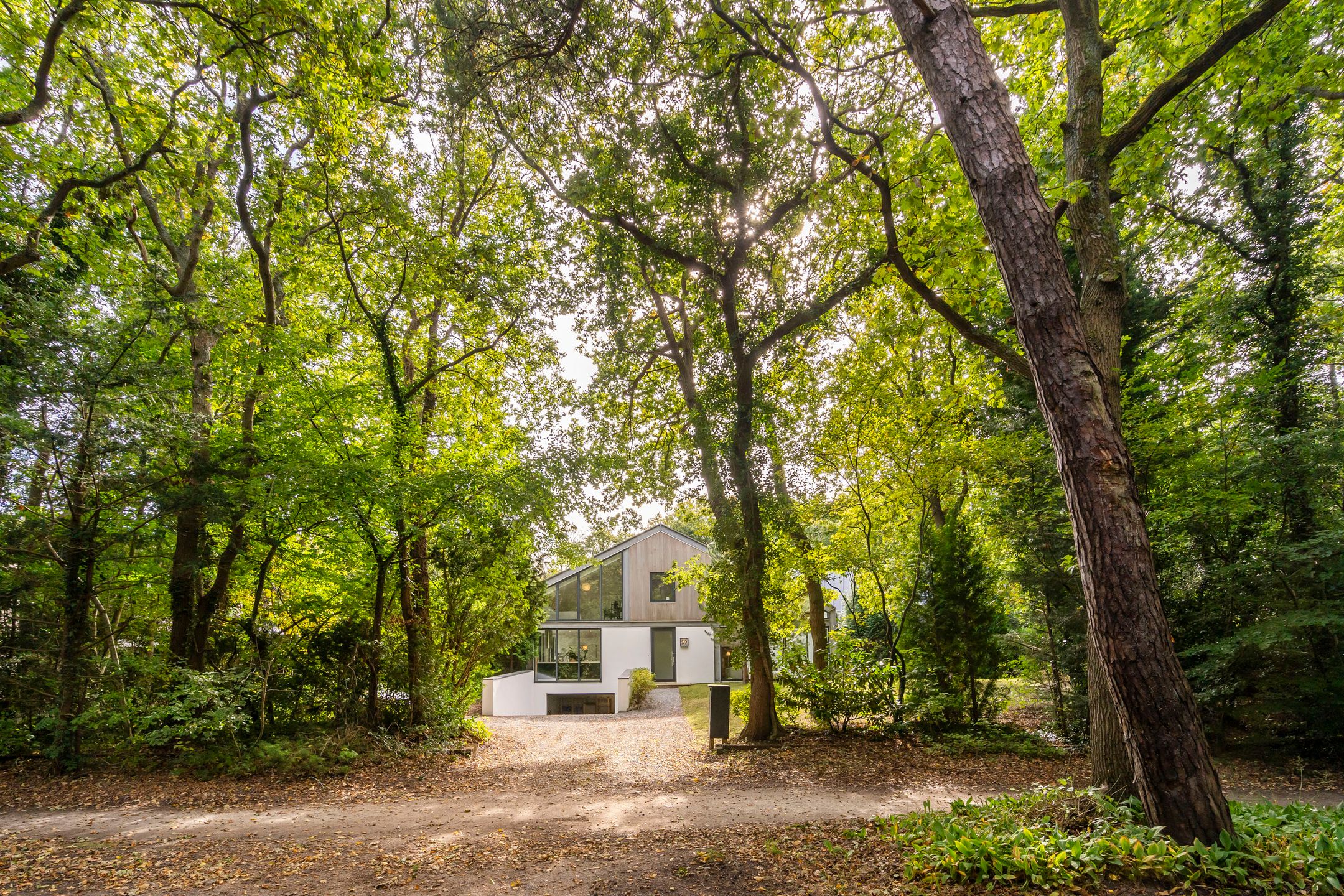 Foto 48 van Eeuwigelaan 59