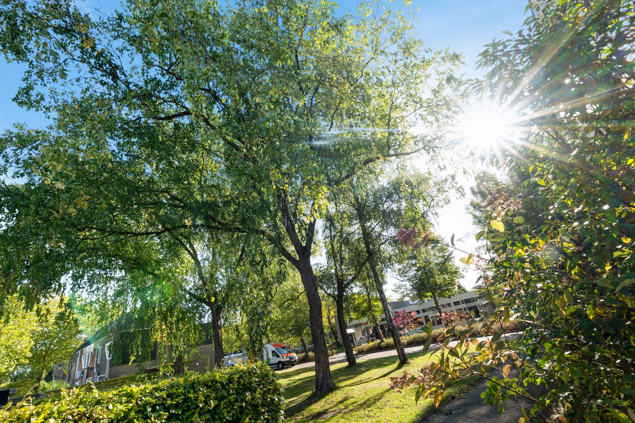 Foto 27 van Sleutelbloemstraat 16