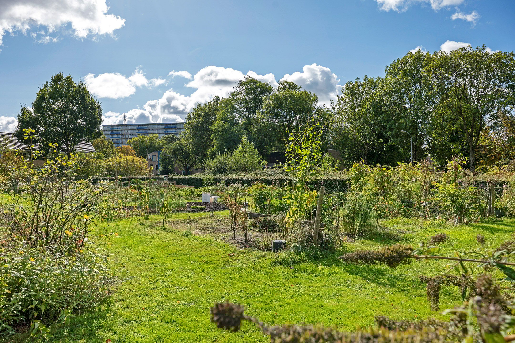 Foto 39 van Sleutelbloemstraat 16