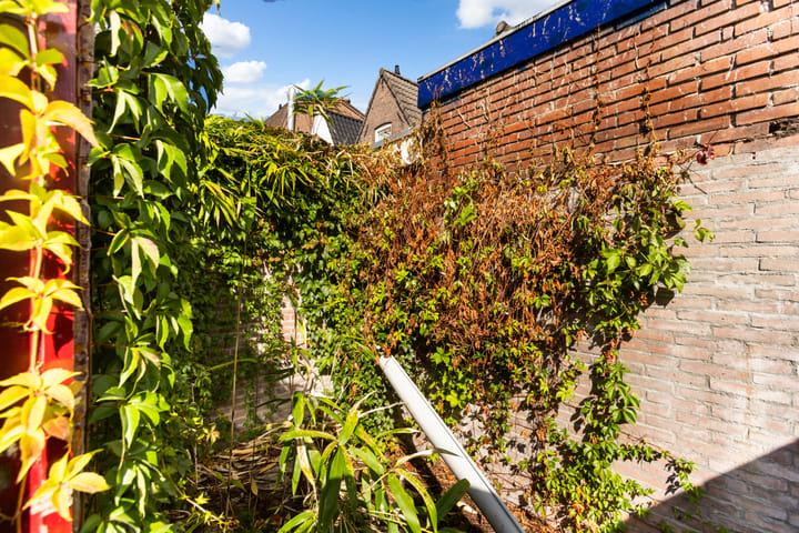 Foto 32 van Hof de Vriendschap 4