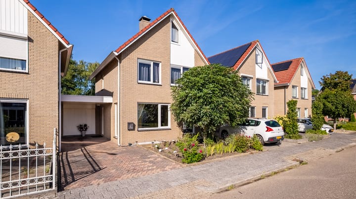 Foto 4 van De Mees 61