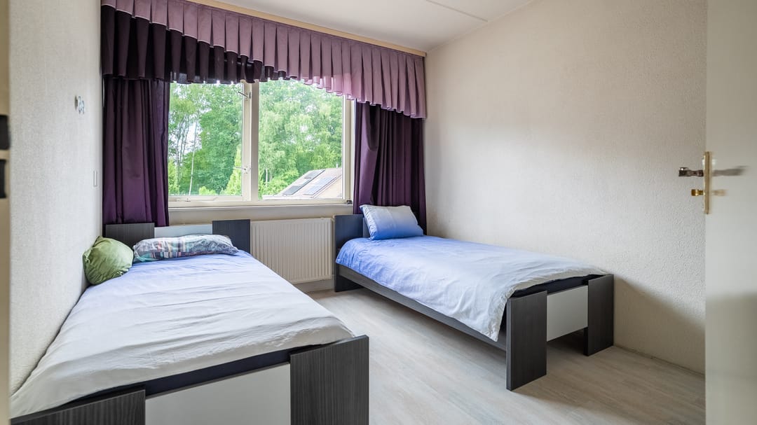 Photo 17 of De Mees 61