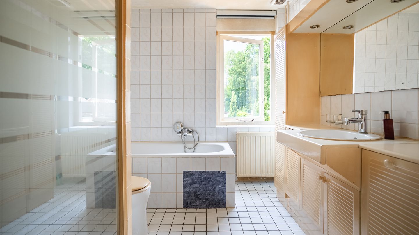 Photo 20 of De Mees 61