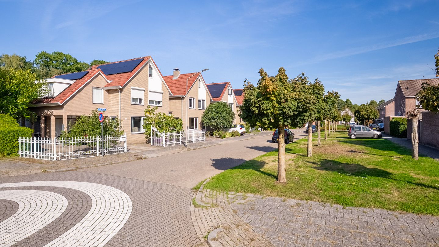 Photo 25 of De Mees 61