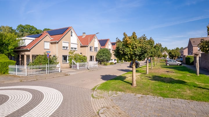 Foto 25 van De Mees 61