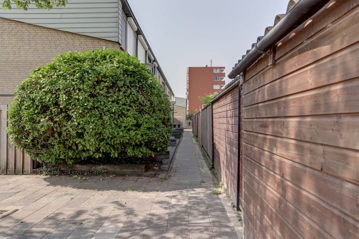 Foto 40 van Spartaveld 32