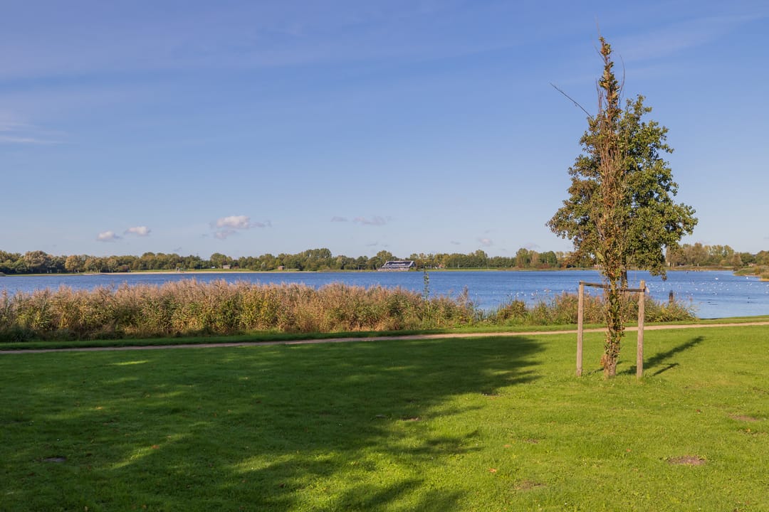 Foto 61 van Ridderburgpark 177