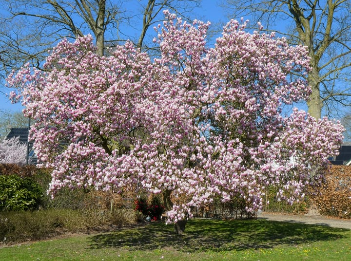 Foto 80 van Rijksstraatweg 69