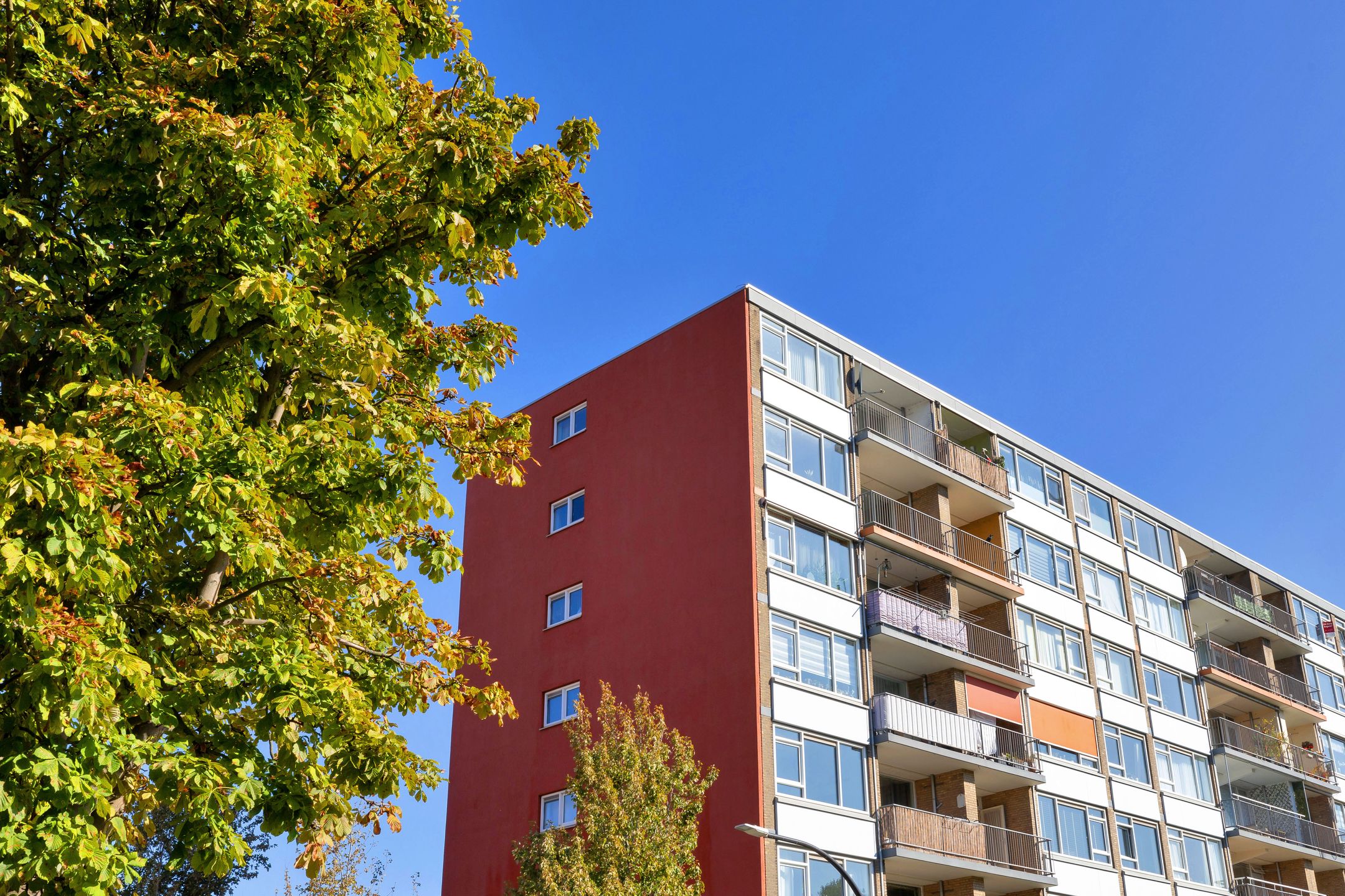 Foto 6 van Dirk Schäferplein 139