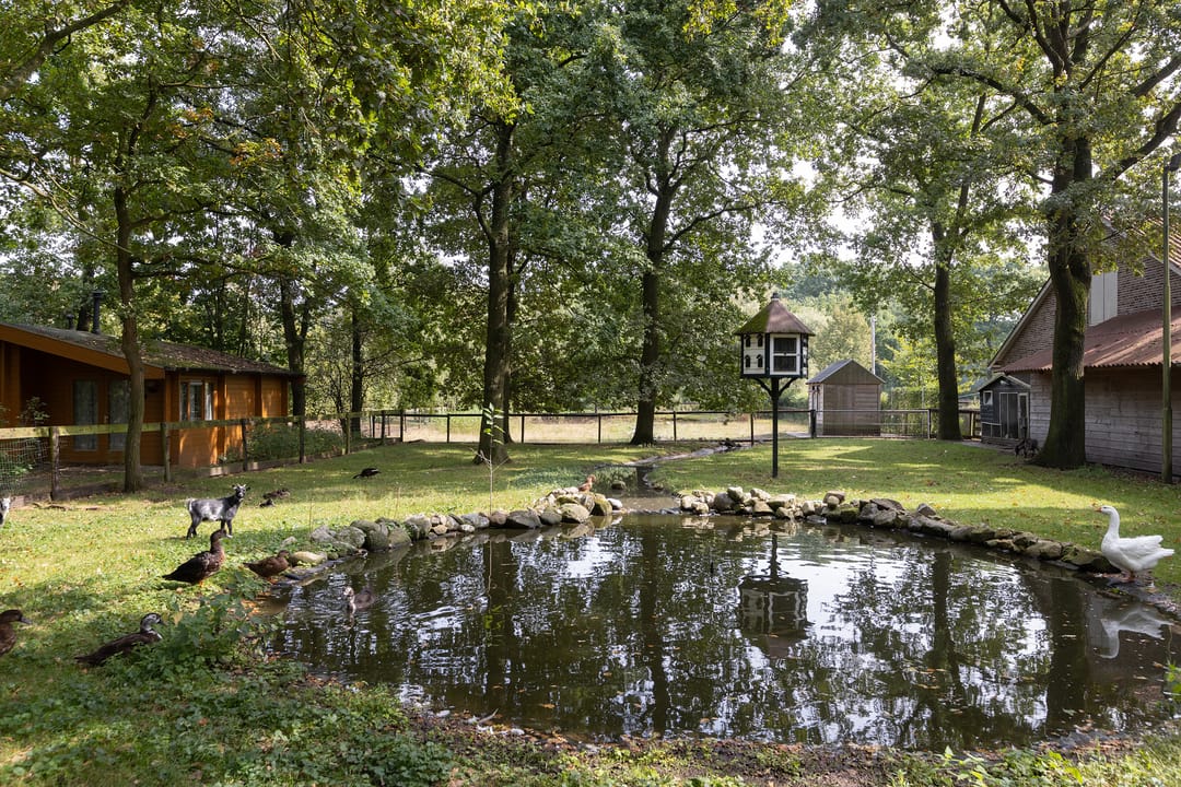 Photo 31 of Karelsdijk 2-A31