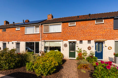 undefined main image