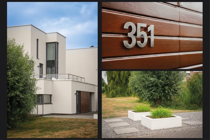 Foto 5 van Visven 351