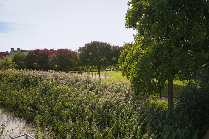 Foto 19 van Visven 351