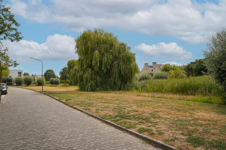 Foto 50 van Visven 351