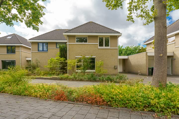 Foto 7 van Diepmeerven 96