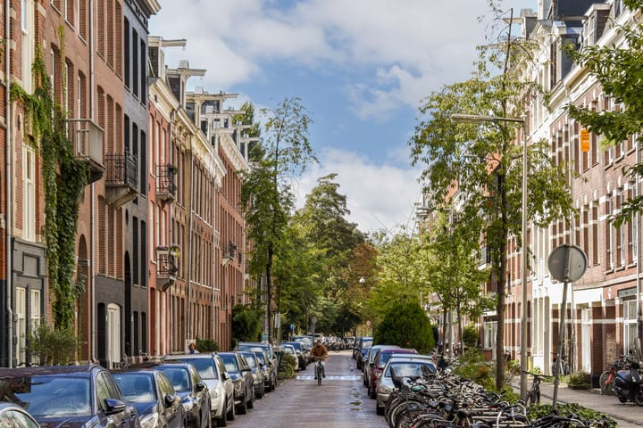 Foto 25 van Govert Flinckstraat 253-D