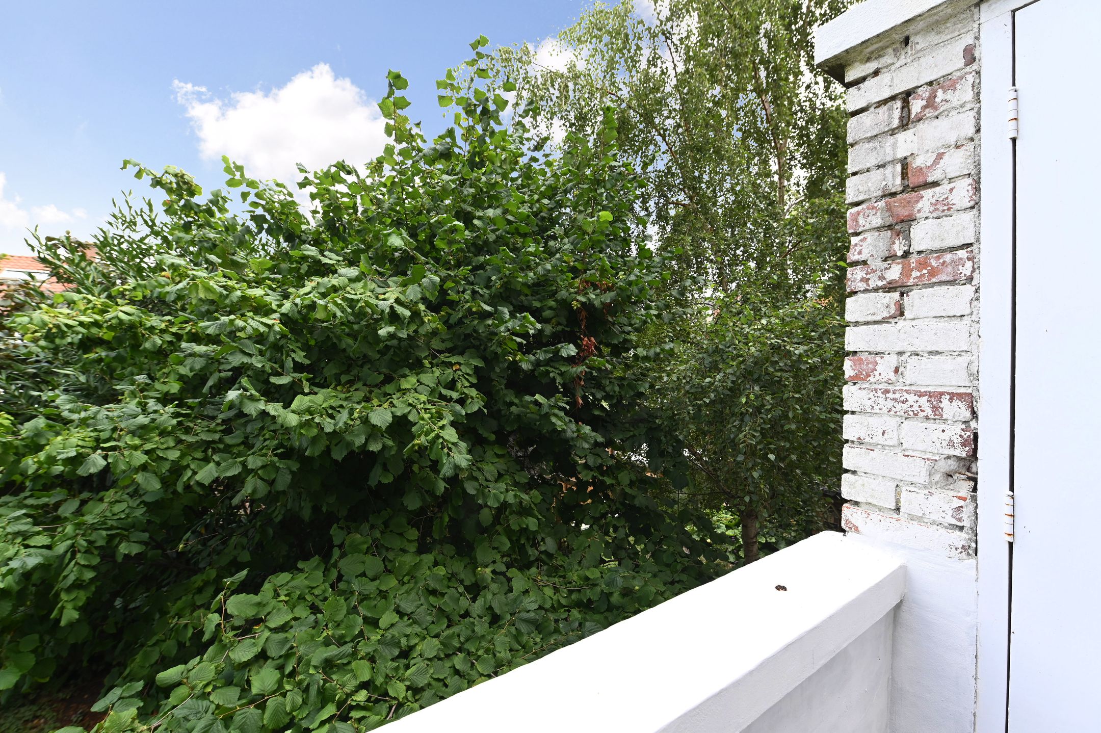 Photo 21 of van der Palmstraat 20