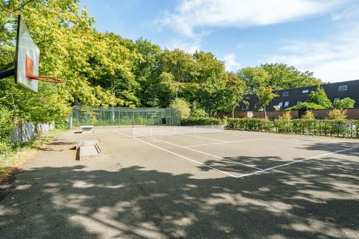 Foto 23 van Crosestein 2057