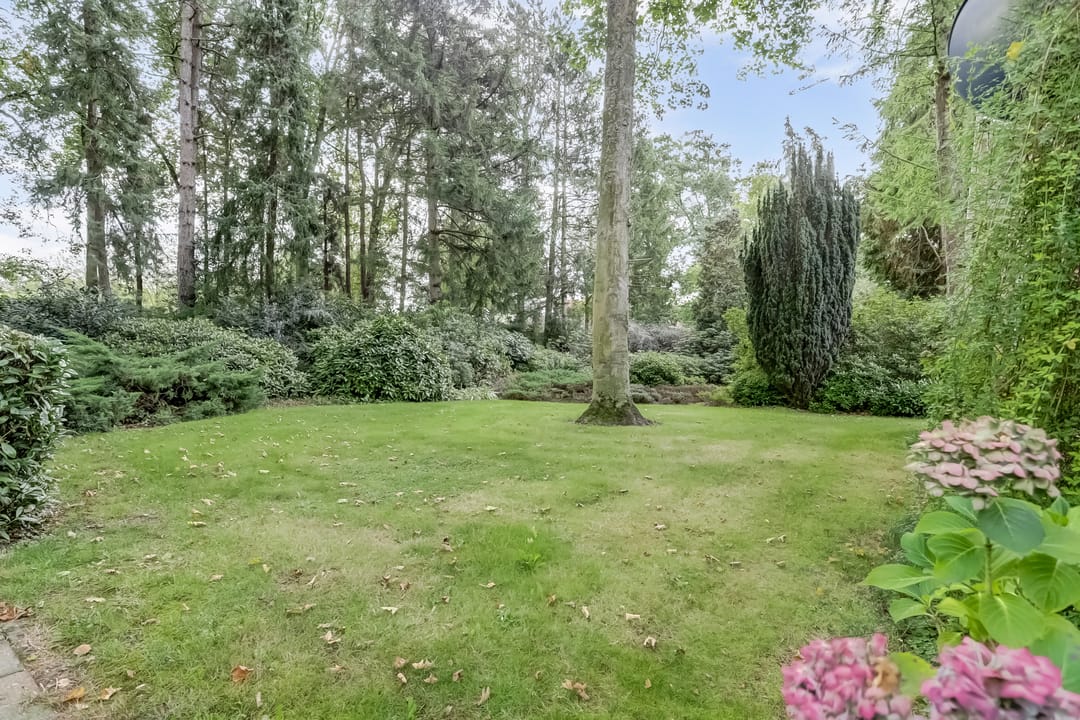 Foto 38 van Zandstraat 2