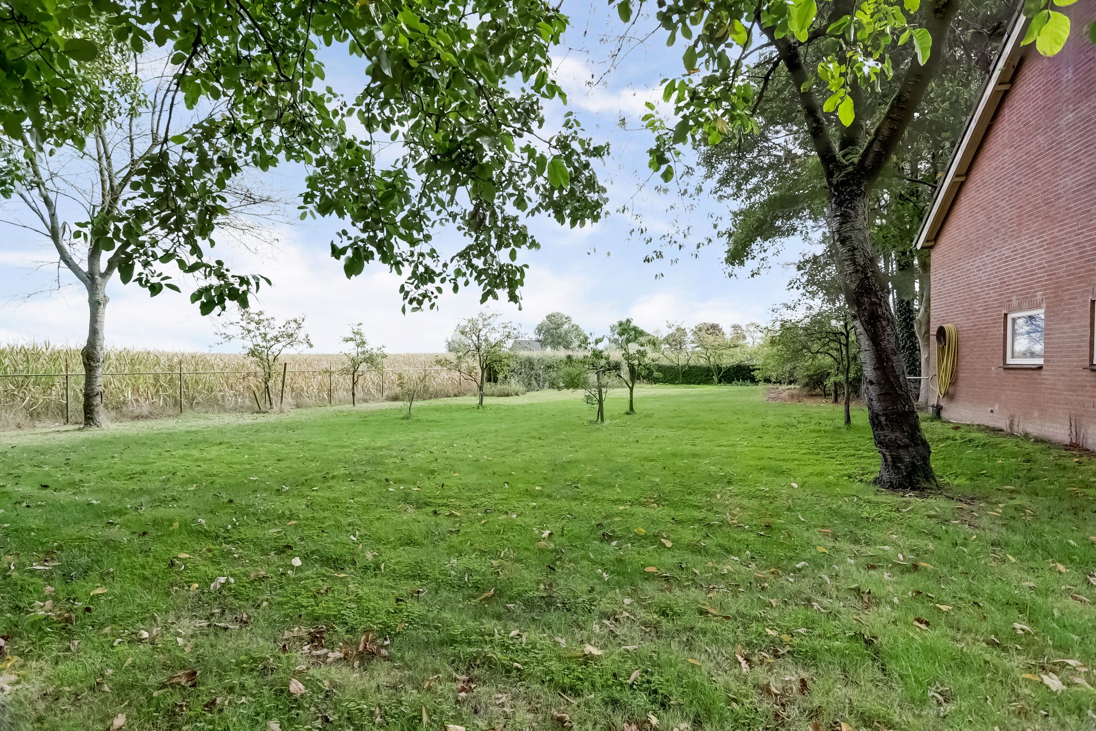 Foto 39 van Zandstraat 2