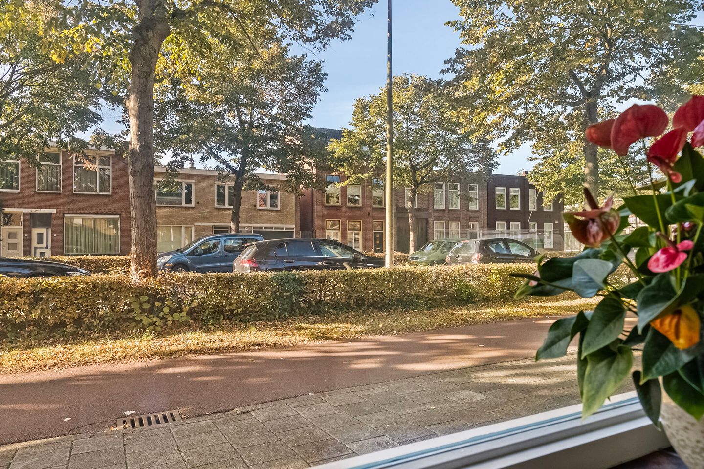 Foto 10 van Wouwsestraatweg 43