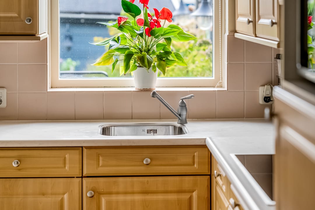 Foto 11 van Erasmusstate 54