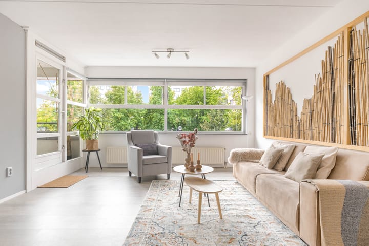 Foto 2 van Hartingstraat 238