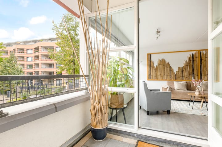 Foto 17 van Hartingstraat 238