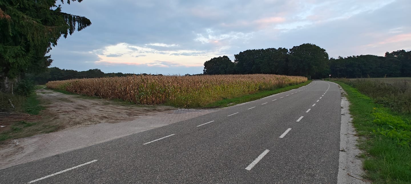 Bekijk foto 2 van Eikestraat