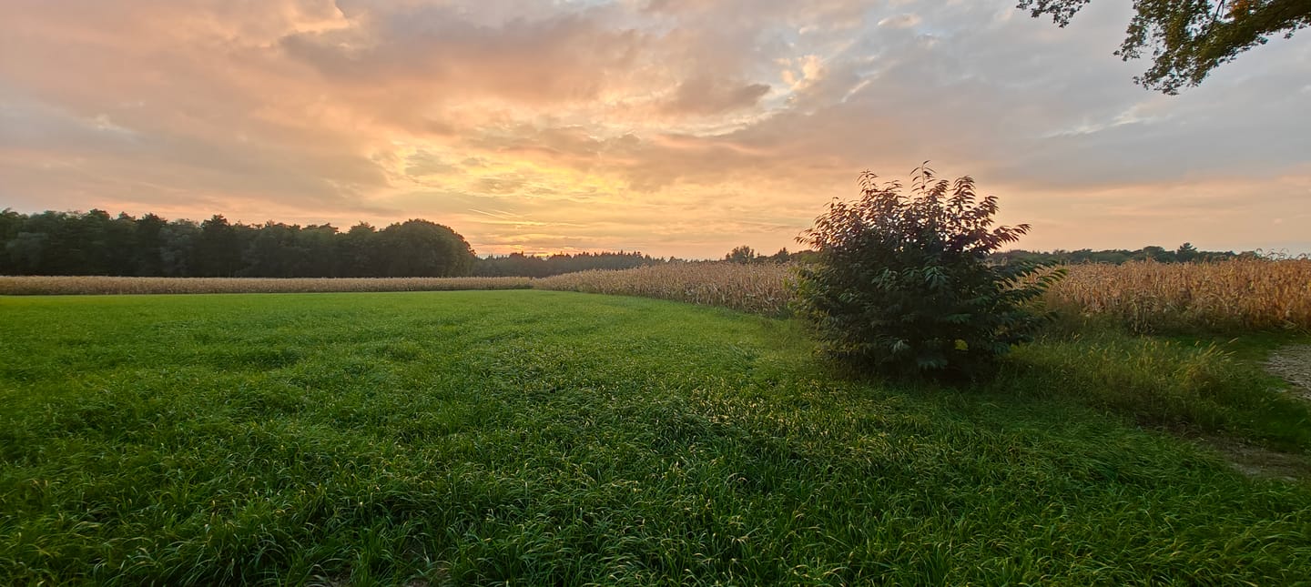 Bekijk foto 3 van Eikestraat
