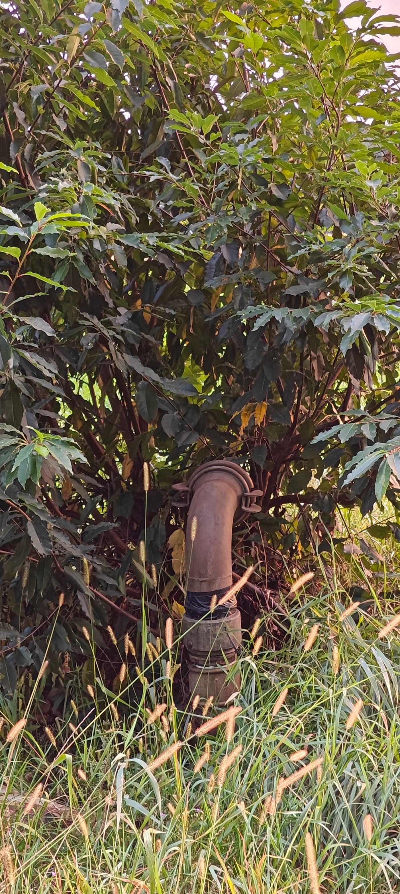 Bekijk foto 4 van Eikestraat