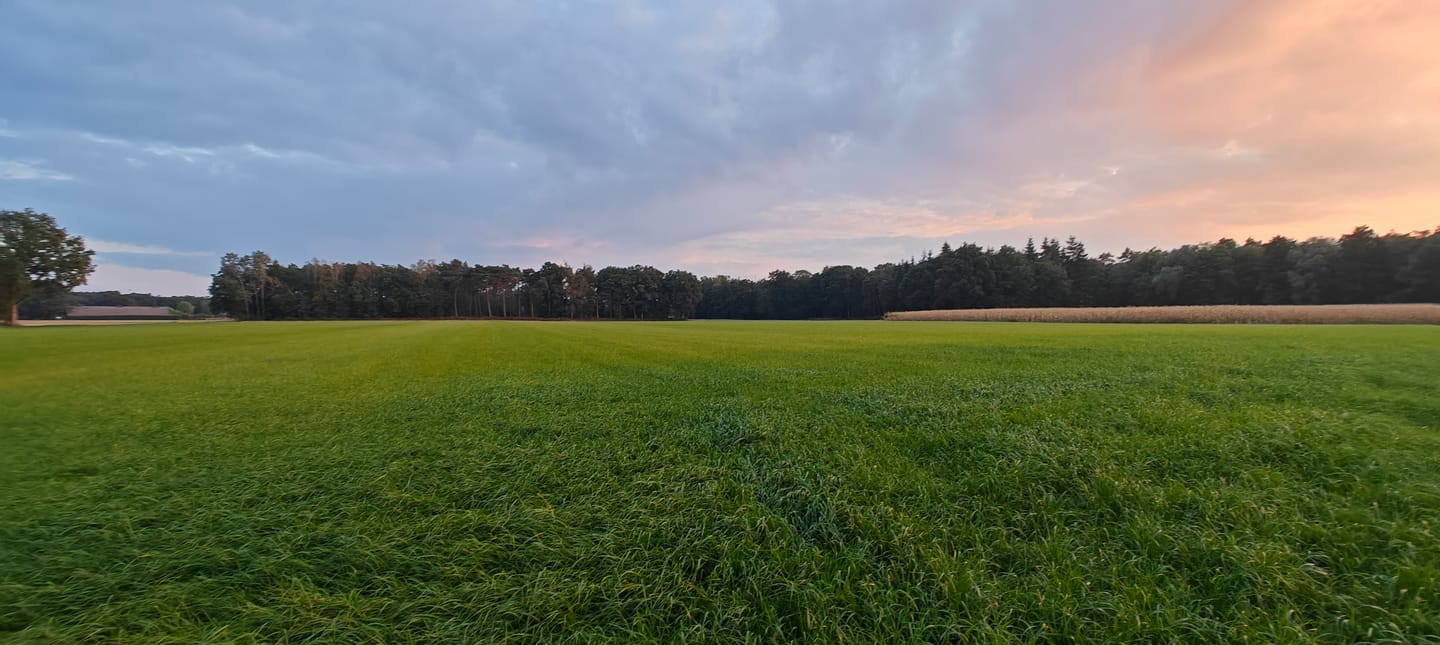Bekijk foto 5 van Eikestraat