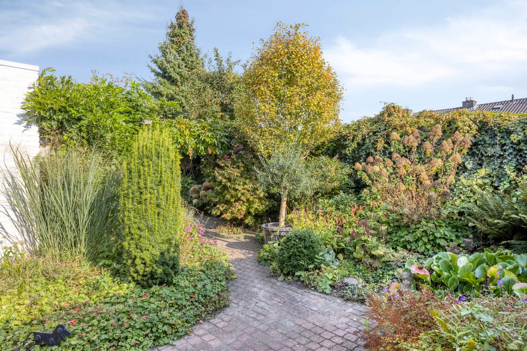 Foto 23 van de Els 52