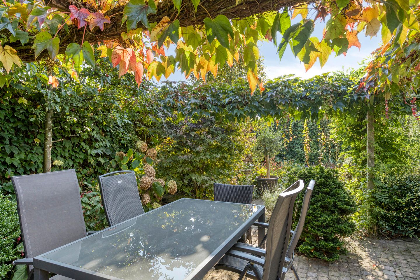 Foto 25 van de Els 52