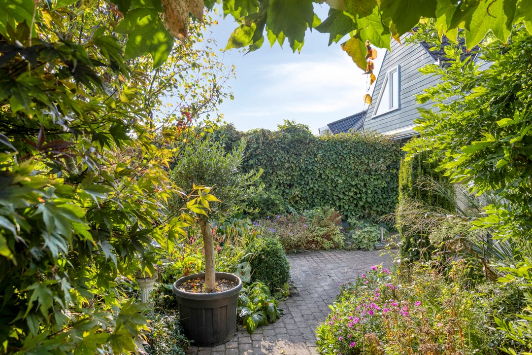 Foto 26 van de Els 52