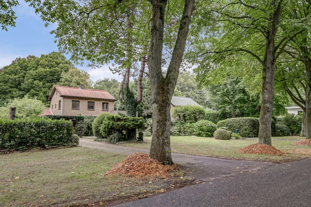 Photo 2 of Chloralaan 4